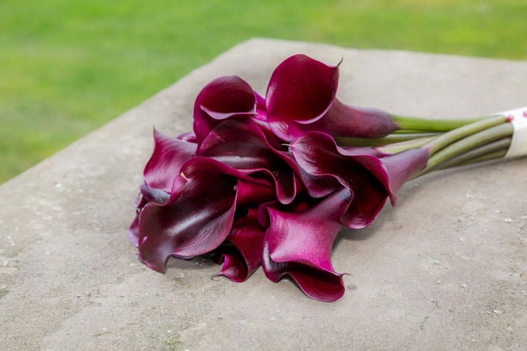 Deep purple lily bouquet photographed by Sarah Hargreaves of Sugar Photography in Horbury West Yorkshire